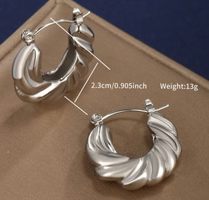 564sa. Earrings