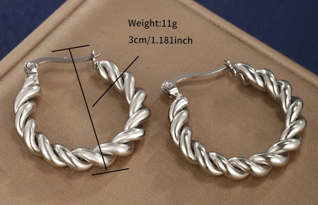 564sa. Earrings