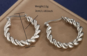 564sa. Earrings